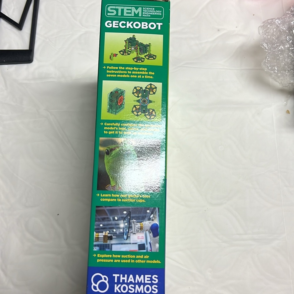 Stem - Picture 2 of 3